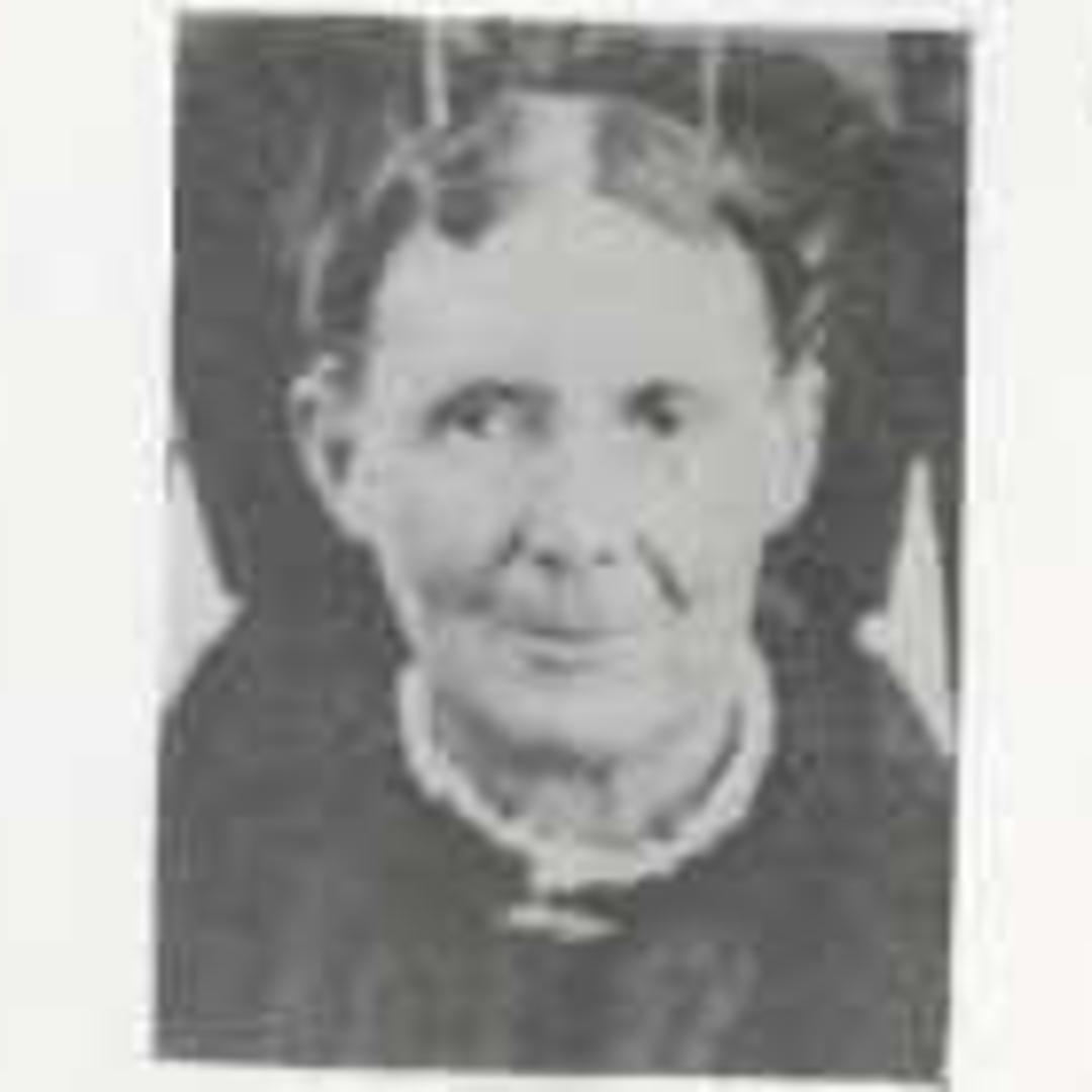Nancy Aretta Porter (1843 - 1924) Profile